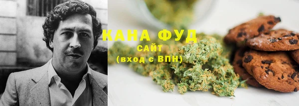гидра Алексин