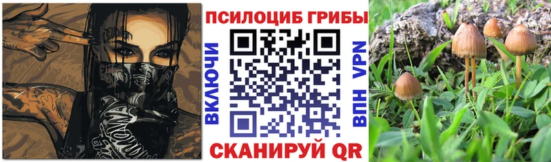 Галлюциногенные грибы мухоморы Купить Сусуман